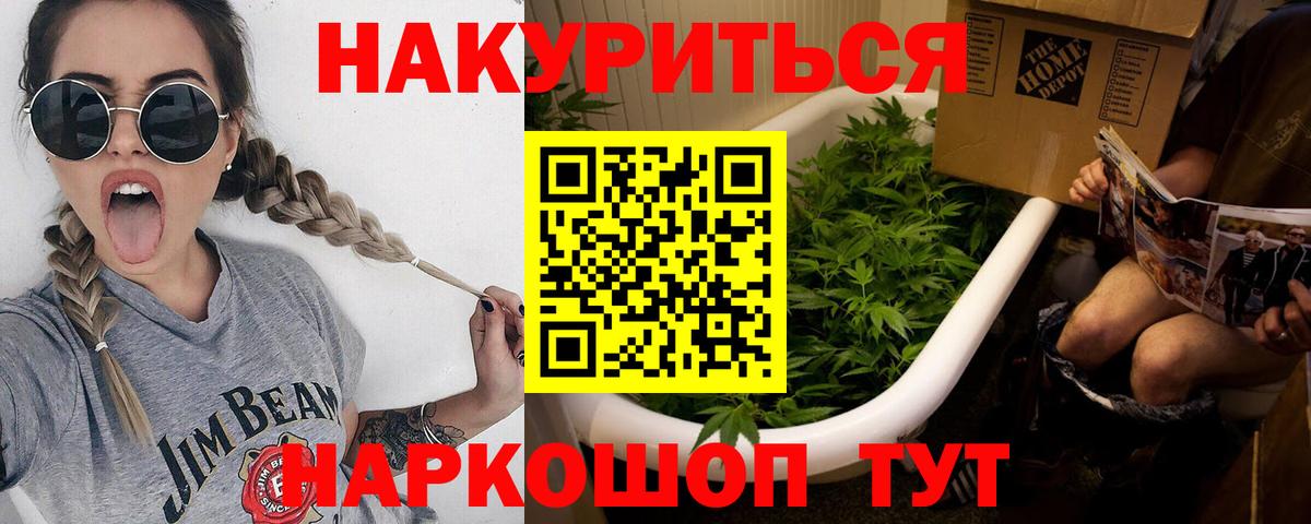 Марихуана сатива Дербент